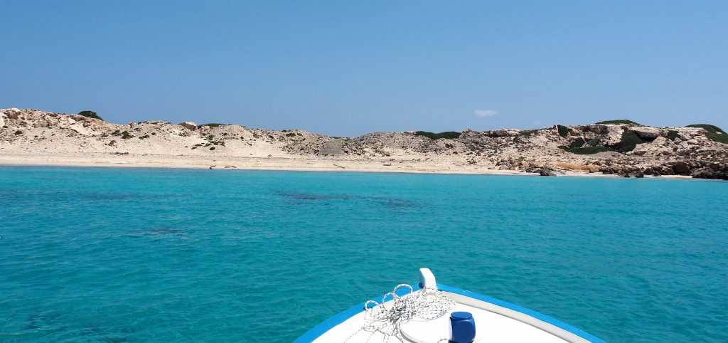 LEISURE TRAVEL PLANNING