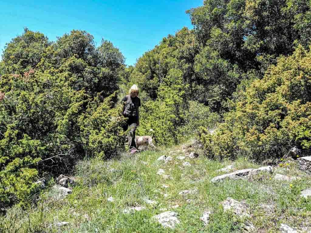 Truffle hunting in Greece